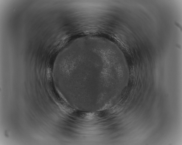 X0000097950130200804141013