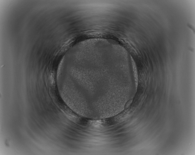 X0000097950131200804141013