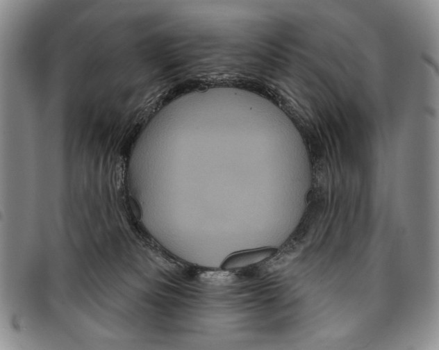 X0000097950133200804141013