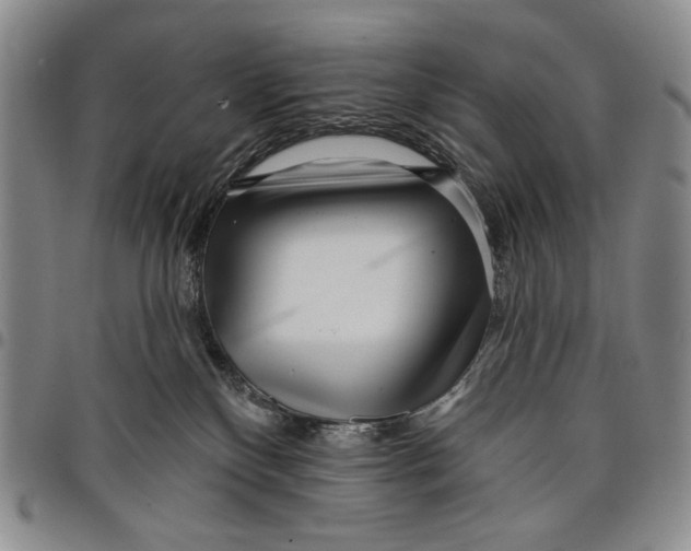 X0000097950136200804141013