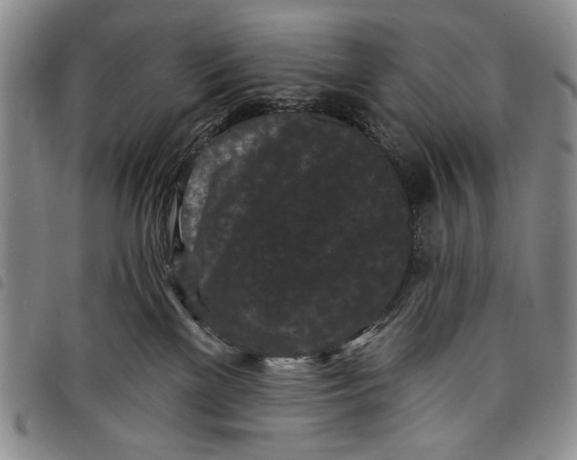 X0000097950137200804141013