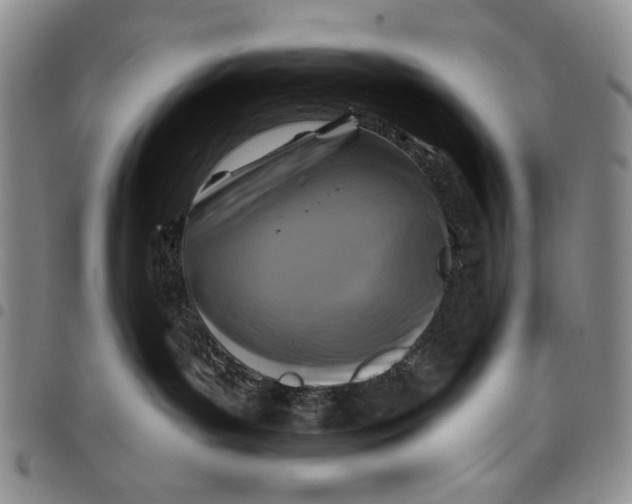 X0000097950143200804141013