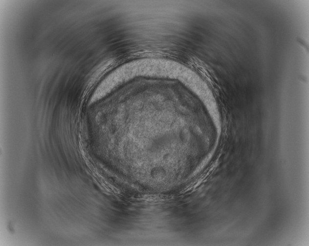 X0000097950145200804141012