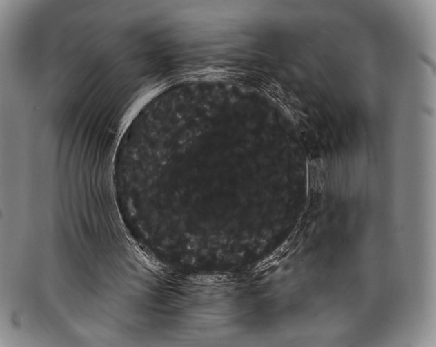 X0000097950147200804141012