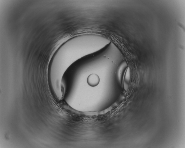 X0000097950148200804141012
