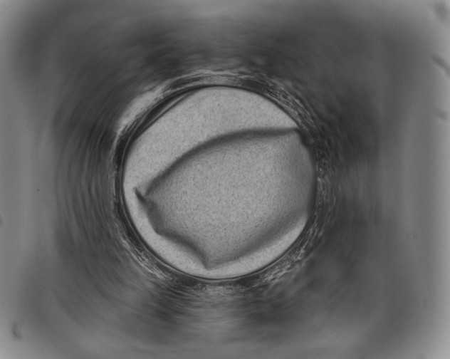 X0000097950149200804141012