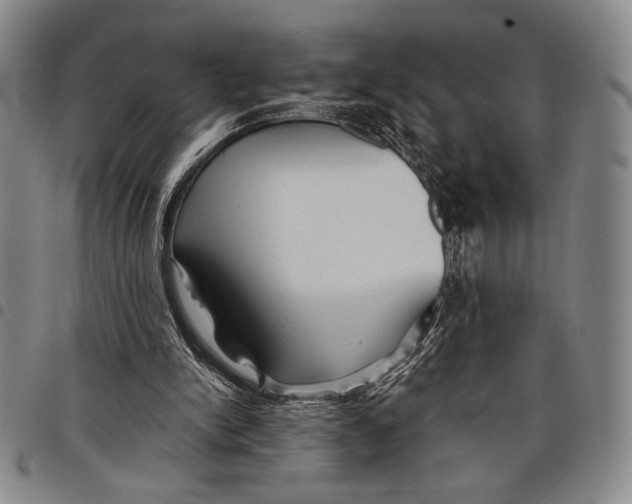 X0000097950150200804141012
