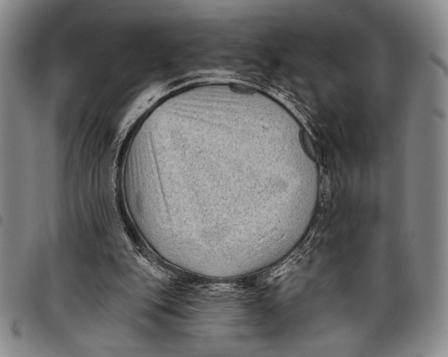 X0000097950151200804141012