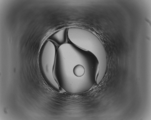 X0000097950152200804141012