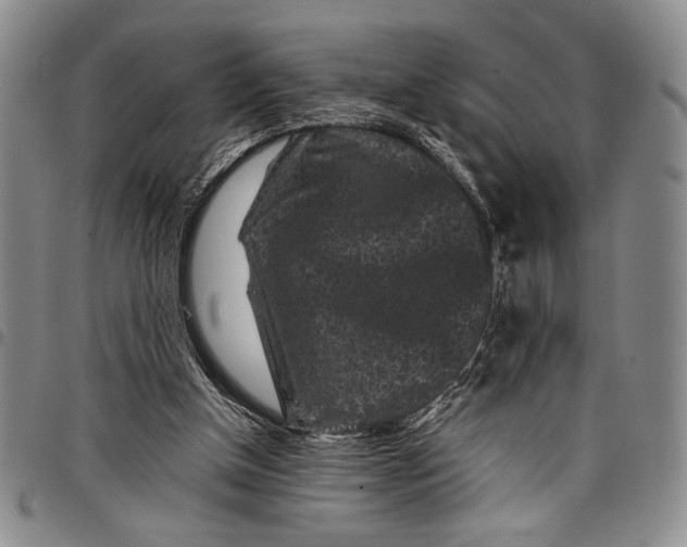 X0000097950154200804141012