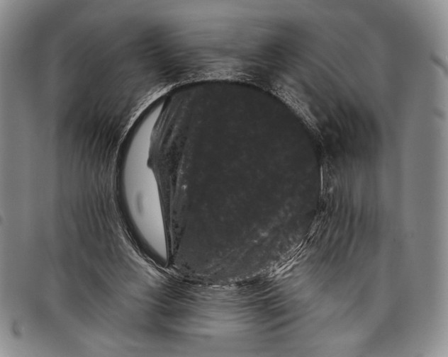 X0000097950156200804141012