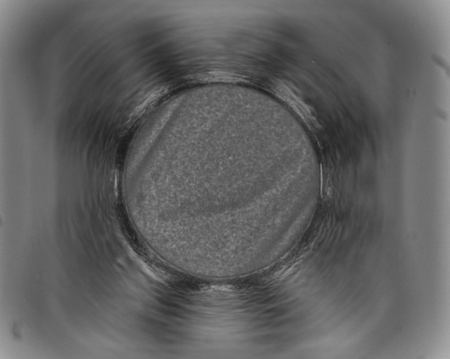X0000097950157200804141012