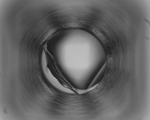 X0000097950158200804141012