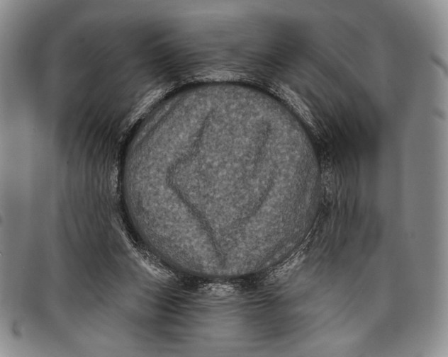 X0000097950159200804141012