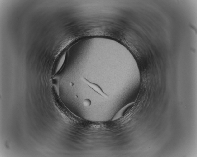 X0000097950160200804141012