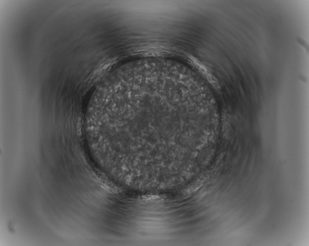 X0000097950161200804141012