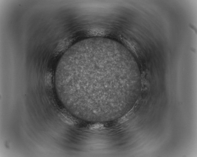 X0000097950162200804141012