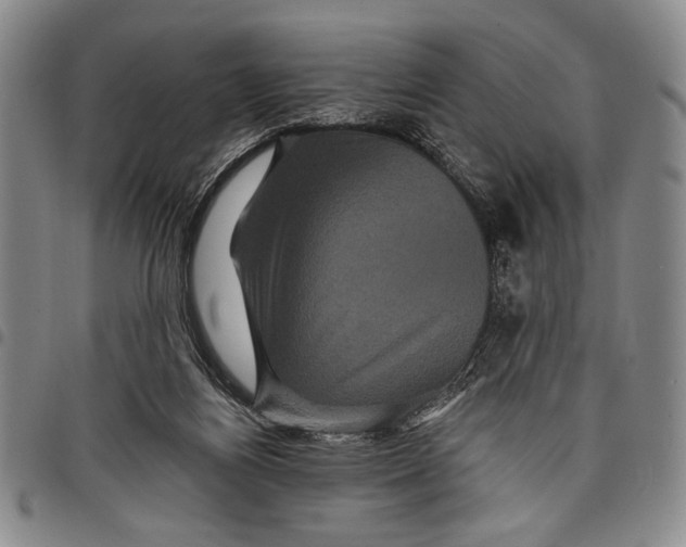 X0000097950164200804141012