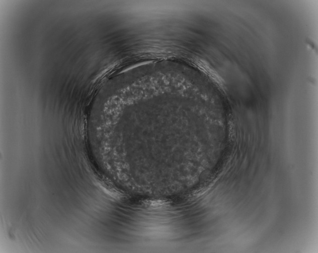 X0000097950165200804141012
