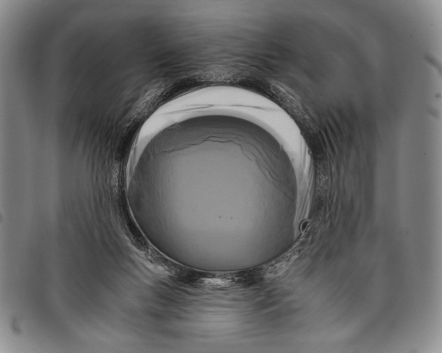 X0000097950167200804141012