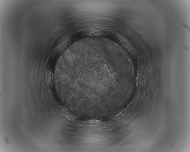 X0000097950169200804141012