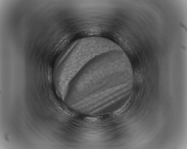 X0000097950170200804141012