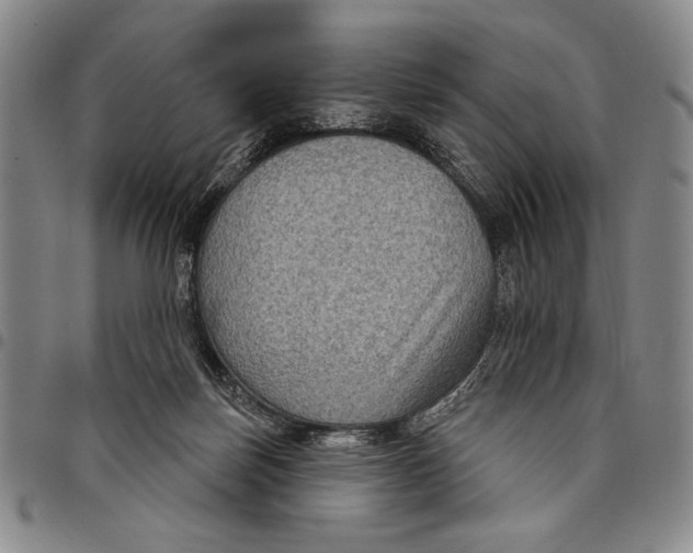 X0000097950171200804141012