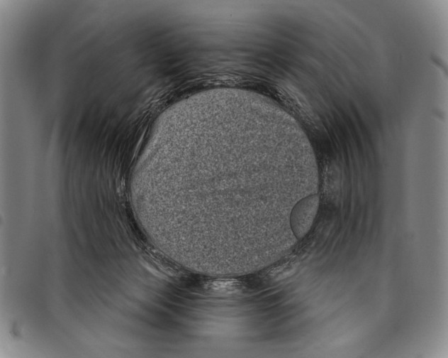 X0000097950173200804141012