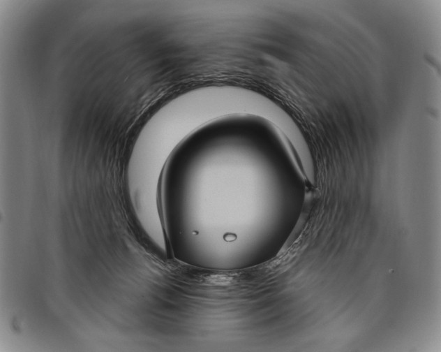 X0000097950176200804141012