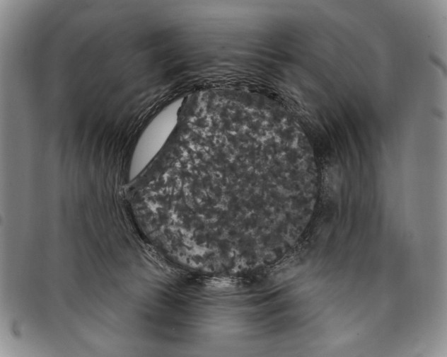 X0000097950177200804141012