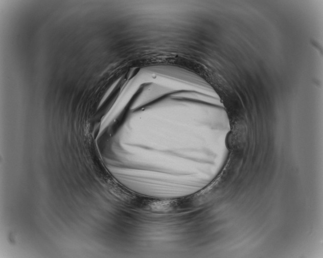 X0000097950178200804141012