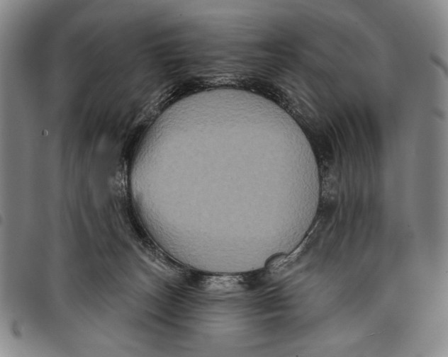 X0000097950179200804141012