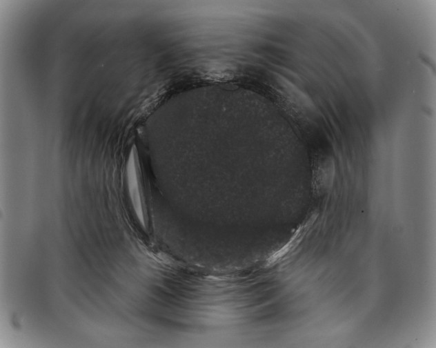 X0000097950180200804141012