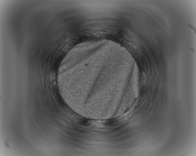 X0000097950182200804141013