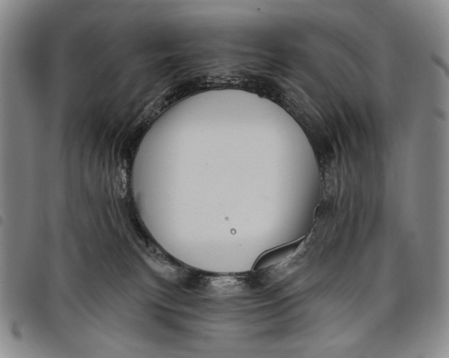 X0000097950183200804141013