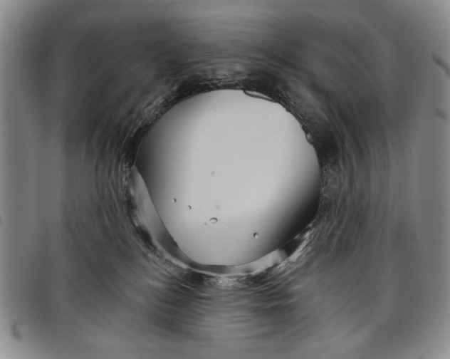 X0000097950184200804141013