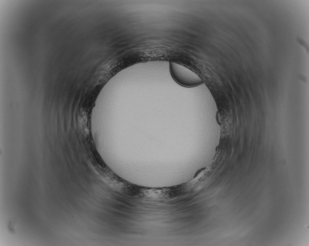 X0000097950187200804141013