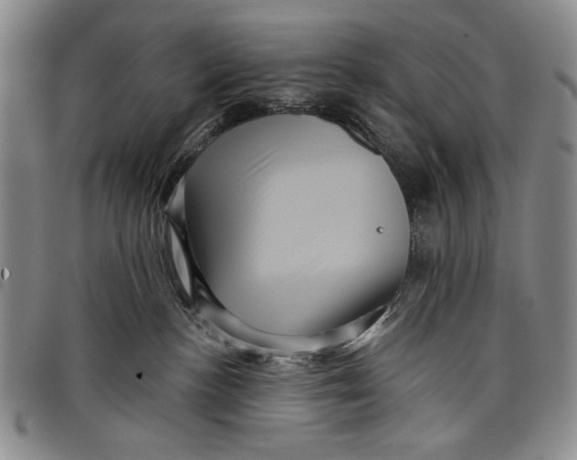 X0000097950188200804141013