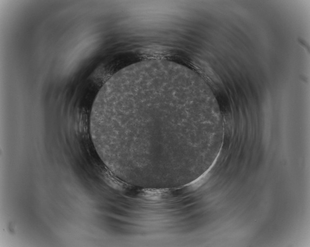 X0000097950190200804141013