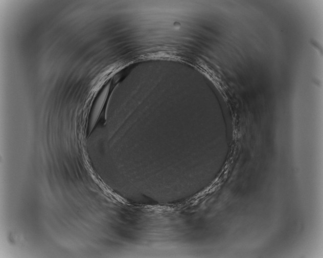 X0000097950193200804141012