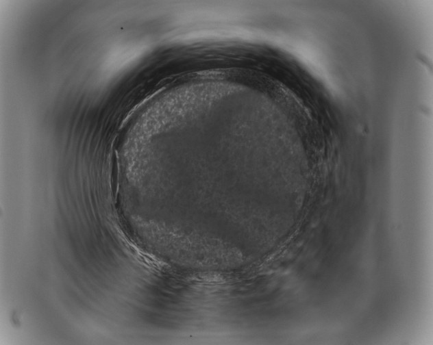 X0000097950194200804141012