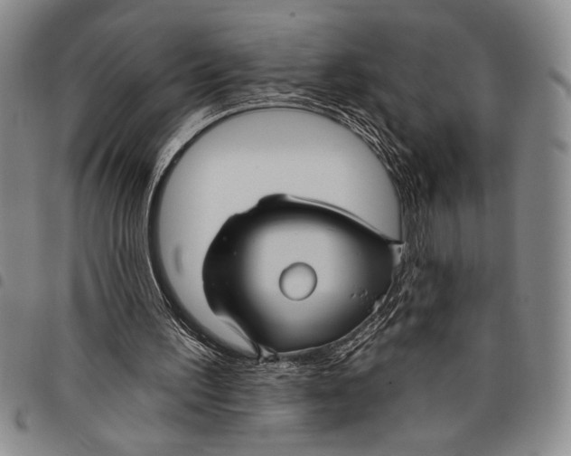 X0000097950195200804141012