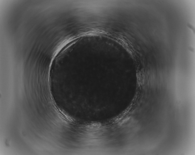 X0000097950196200804141012