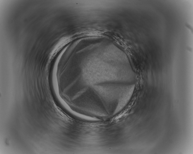 X0000097950197200804141012
