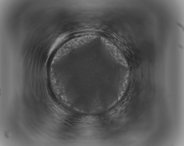 X0000097950198200804141012