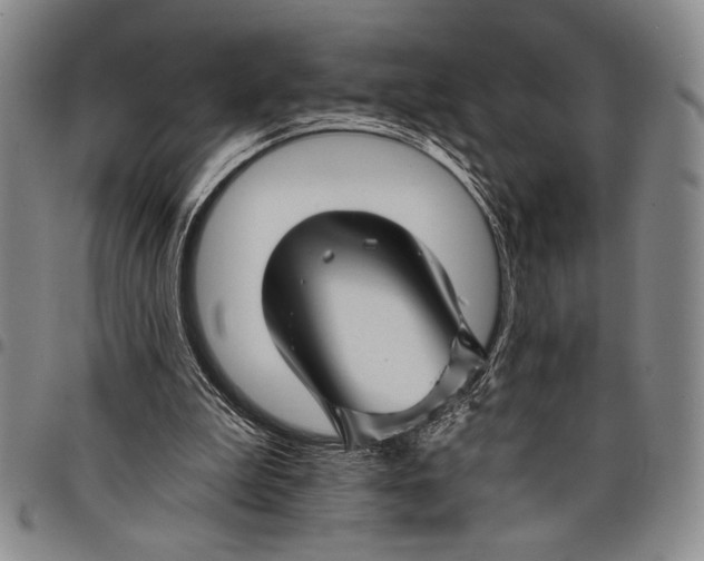 X0000097950199200804141012