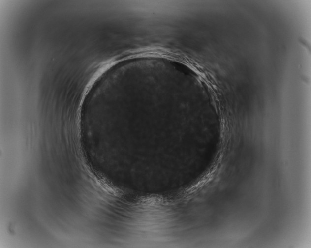 X0000097950200200804141012