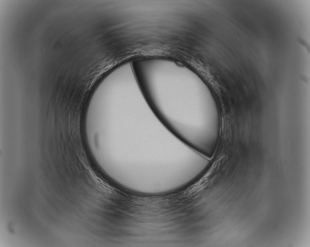 X0000097950201200804141012