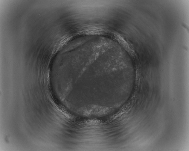 X0000097950202200804141012