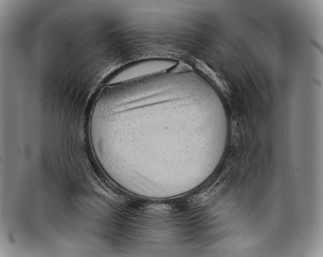 X0000097950203200804141012